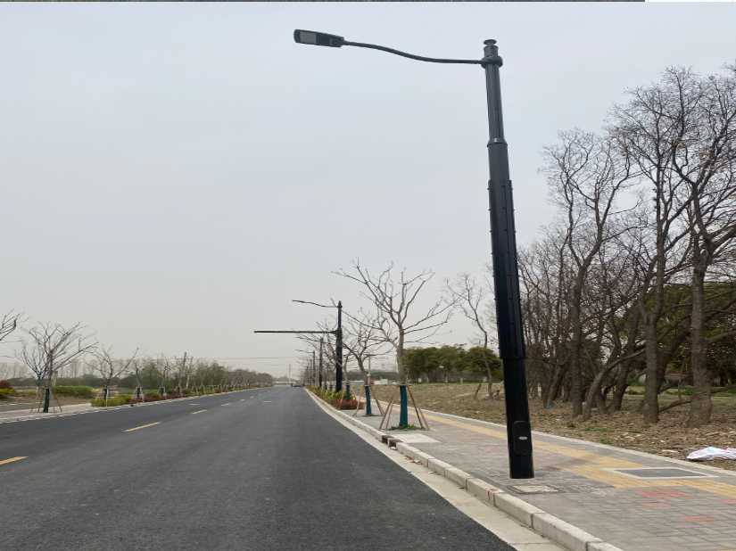 延长县上海综合杆 太阳能路灯工程
